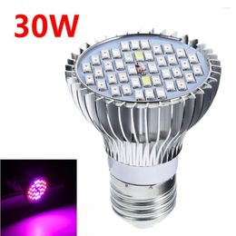 Grow Lights 20W 200-LED Plant Light E27 Red Blue Hydroponic Flower Veg Growing Lamps