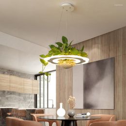 Pendant Lamps The Nordic Plant Meals Chandeliers Modern Dining Room Balcony Glass Lamp Acrylic Shop Outfit LED Decorative Lights