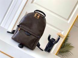 Designer Luxury Palm Springs PM Back Pack Ruck Suck M44871 Backpack PM Brown Canvas 7A Best Quality