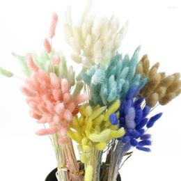 Decorative Flowers 50 Stems Mixed Colour Dried Flower Tail Bunch Natural Plants Floral Grass Bouquet For Home Wedding
