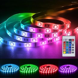 Strips LED Strip Light DC12V Patch Garland With TV Background Lighting For Holiday/wedding Decoration Room Lights