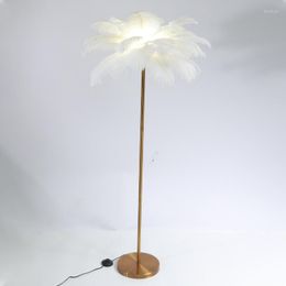 Floor Lamps 1.5m Nordic Style Feather Lamp Modern Interior Lighting Decor Suitable For Home Living Room Bedroom Night