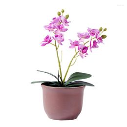 Decorative Flowers Festival Artificial Real Touch Moth Orchid Butterfly For House Home Wedding Decoration