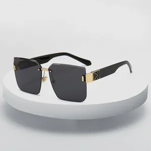 Okulary przeciwsłoneczne plasterek dla kobiet mężczyzn marka marka luksusowe pudełko samochodowe okulary przeciwsłoneczne moda