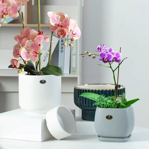 Vasos nórdico criativo simples irregular vaso de cerâmica cacto gardênia borboleta orquídea pote recipiente