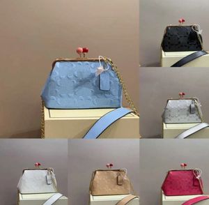 Trendy Cbag Cherry Clip Bag Borse firmate rosa Borsa da donna Catena Crossbody Borse di lusso Lady Borsa a tracolla blu con stampa vintage