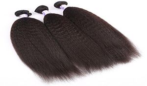 Peruvian Kinky Straight Bundles 828 Inch 100 Human Hair Extensions No Remy1619246