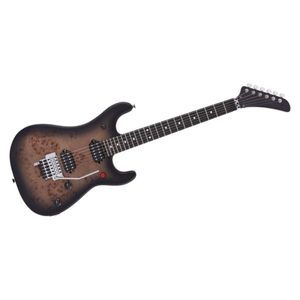 5150 Series Deluxe Poplar Burl Black Burst Guitar