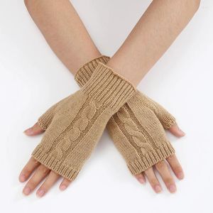 Joelheiras inverno quente mangas de malha pulseira coreano feminino braço grosso sem dedos luvas de meio dedo acessórios de roupas femininas