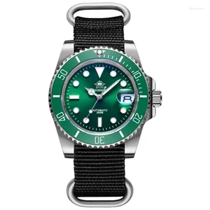 Bilek saatleri benim-H3-2, iş yeşili su hayalet tamamen otomatik mekanik naylon kemer safir ayna dalış erkek saat