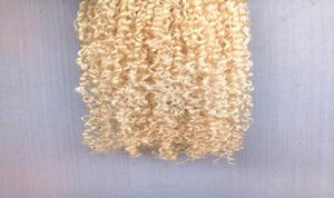 Brazilian Human Virgin Remy Dark Blonde Hair Kinky Curly Hair Weft Soft Double Drawn Hair Extensions Unprocessed3499798