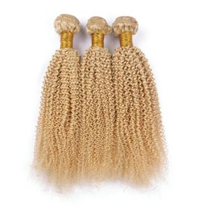 Najwyższej klasy Brazylijskie Blondynki Blondynki Kinky Curly 3pcs 613 Bleach Blonde Human Hair Weave Bundles 1030quot Double 5274142