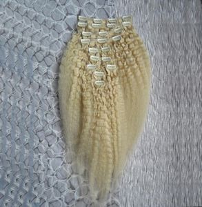 Blonde Brazilian Kinky Straight Human Hair Clip in Hair Extension 10ピースと120gset 12 24インチレミー粗ヤキクリップinext7600184