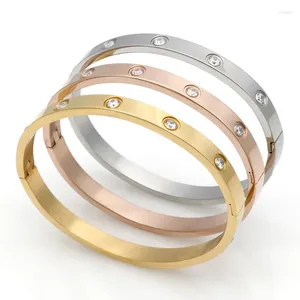 Bangle mode kvinnor män kristall armband armband färg rosguld rostfritt stål runda tio stenar manschett pulseras smycken