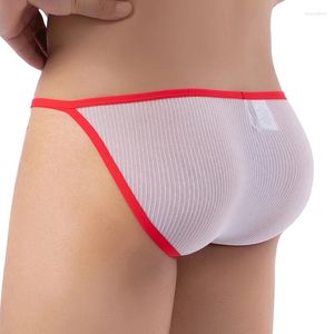 Underpants Super Thin Underwear Men Soft Breathable Mesh Briefs See Through Lingerie Quick Dry Panties Cueca Hombre