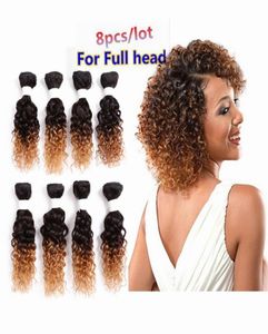 Deep Curly Brasilian Hair Bourgogne Loose Wave Human Hair Weaves Peruvian Malaysian 250G Kinky Curly 8Bundles Ombre Brown Blended W7354555