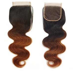 Brasilianisches Vrigin-Haar, Ombre, zweifarbig, gewellt, 1b430, Spitzenverschluss, 4X49611657