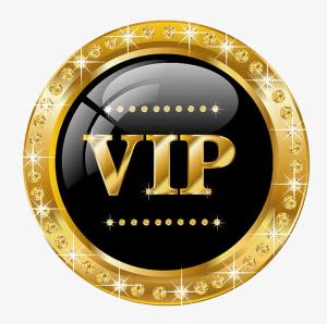 VIP Özel Sipariş için Ödeme Bağlantısı Özelleştirilmiş Kozmetik Çantası ve Listelenmeyen Diğer Ürünler Memnuniyetler Gerçek Ürün Resimleri Siparişi
