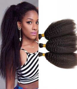 Bulks de cabelo liso brasileiro crespo para mulheres negras sem trama 3 pacotes extensões de cabelo humano em massa 828 polegadas fdshine8846468