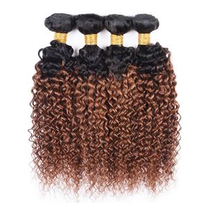 4Pcs Human Hair Ombre Weave Bundles Kinky Curly Brazilian Virgin Hair T 1B 30 Two Tone Color Ombre Medium Auburn Hair Extension4508274