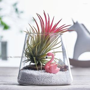 Vasi Vasi da fiori multiculturali Coltivazione Paesaggio Vaso Capelli Acqua Commercio all'ingrosso Micro vetro ecologico Semplice decorazione per la casa