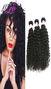 9A Mink Indian Deep Wave Curly Virgin Hair Indian Hair Weave Bunds våt och vågig 828 tum jungfrulig mänsklig hårbunt naturlig färg6849277