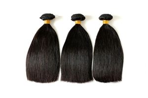 obearbetade super dubbel ritade malaysiska raka jungfruliga hårbuntar 3st 300g Lot 100 Remy Human Hair Bundles Weaves Natural CO5155300