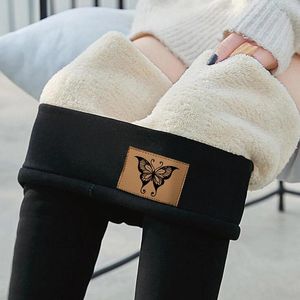 Calças femininas leggings de inverno mulheres meia-calça efeito de pele meias térmicas mulher translúcida pelúcia meia himere leggins lambwool