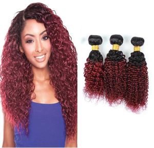 Brzailian Ombre Hair Extension Two Tone 1B99 Kinky Curly Burgundy Human Hair Weave 3バンドル全色ブラジルの赤い髪の毛9019447