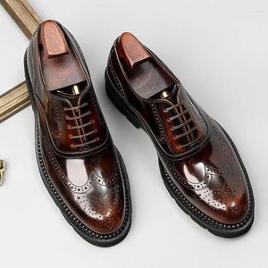 Dress Shoes PJCMG Black /Wine Red Mens Lace-Up Oxfords Pointed Toe Genuine Leather Wedding Business Work