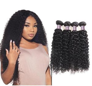 Indian Deep Curly Human Hair Bundles 4pcs Brasilianska hårförlängningar Hela obearbetade 100 Malaysiska jungfruliga kinky lockiga hår W285315661027