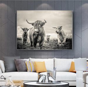 Highland Cow Poster Canvas Art Animali Poster e stampe Bovini Pittura Wall Art Decorazione nordica Immagine della parete per soggiorno2860536