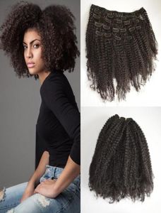 4a 4b 4c Afro verworrene lockige Clip-in-Echthaarverlängerungen brasilianisches reines Remy-Haar Clips ins Strand-Curl-Haarverlängerungen GEASY6309577