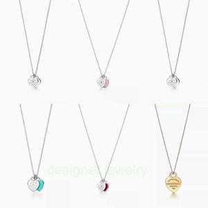 펜던트 목걸이 LM S Sterling Sier Necklace 디자이너 소비 매력 남쪽 식물 보석 간호사 선물 선물 55Ni