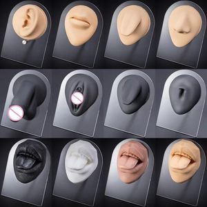 Boxen 1pc Weiche Silikon Modell Simulation Menschliches Ohr Nase Bauch Zunge Piercing Praxis Körper Teile Schmuck Display Stand lehre Werkzeug