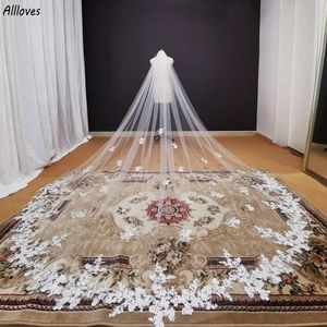 Veli Uno strato lungo applicazioni di pizzo velo da sposa bianco avorio cattedrale lungo velo da sposa con pettine 4 metri velo da sposa accesso per capelli da sposa