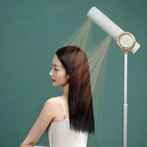 乾燥機ヘアドライヤーピンシル垂直ヘアドライヤーネガティブイオンヘアケア怠zyな子供立っている床リモコンヘアドライヤーホームアーティファ