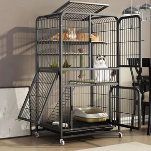 Evin içinde kedi taşıyıcıları panoramik playpen hayvanları için kum havuzları saklıyor Cage jaulas grandes hy