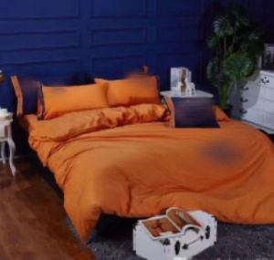 Setler Lüks Tasarımcı Taşıma Nakış Yatağı Yorgan Seti Tabela Yatak Evi Tekstil 4 Parça Set Noel Aile Hediyeleri Yatak