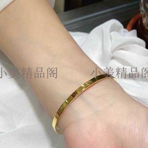 Designer Screw Bangle Bracelet Fashion Luxury Jewelrys Carer Original Trendy 18K Gold Diamond for Women Men Nail Bracelets Silver Jewelry Bracelet EB2O