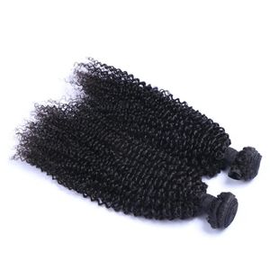 Wefts Malezyjskie dziewicze ludzkie włosy Kinky Curly nieprzetworzone włosy Remy Weves Double Wefts 100G/Poledle 2 Bundle/Lot może być barwione wybielone