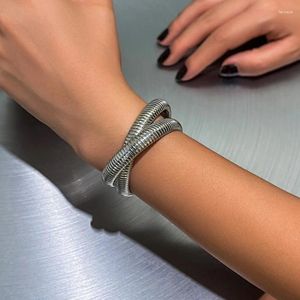 Länk armband mode smycken europeisk och amerikansk designmetall för kvinnor 2024 Trendtillbehör gåva