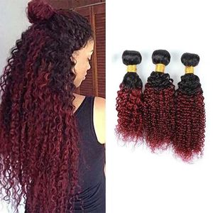 Wefts brasilianska ombre burgundy mänskligt hår 3 buntar färgade 1b/99j två ton kinky lockigt jungfru hårväv billigt brasilianskt mänskligt hår ext