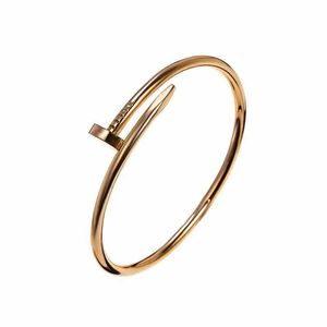 Designer Vite Bracciale rigido Chiodi Amore Moda Gioielli di lusso Carer Originale Trendy Oro 18 carati Diamante per donna Uomo Braccialetti per unghie Bracciale gioielli in argento R6TI