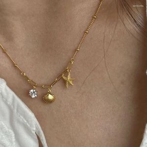 Colares Pingente Shell Sea Star Cz Pedra Aço Inoxidável Para Mulheres Simples Minimalista Dainty Jóias À Prova D 'Água Em