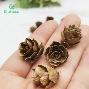 50PCS Mini Pinecones DIY Xmas Tree Pendant Decor Christmas Pine Cones Ornaments for Festival Party Year Accessories 240103