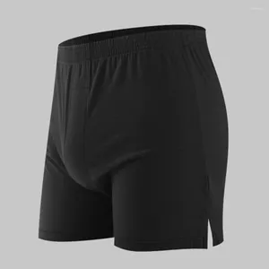 Underbyxor sexiga män modal sömlös boxare trosor påse shorts underkläder andas bekväma mjuka stammar solida casual boxare