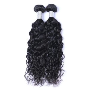 Wefts brasilianska jungfruliga människohår naturliga vattenvåg obearbetade remy hår väver dubbla wefts 100g/bunt 2bundle/parti kan färgas black