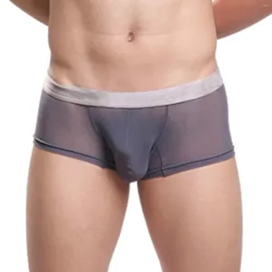 Cuecas masculinas boxers sexy transparente ver através de malha roupa interior gay erótico cintura baixa respirável pantys sissy calcinha homewear