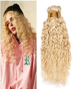 Blond vattenvåg hårbuntar 613 brasilianska jungfruliga mänskliga hårvävblond våt och vågiga hårförlängningar 3 st mycket nya anländer till 5761437